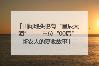 田间地头也有“星辰大海”——三位“00后”新农人的夏收故事