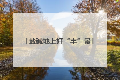 盐碱地上好“丰”景