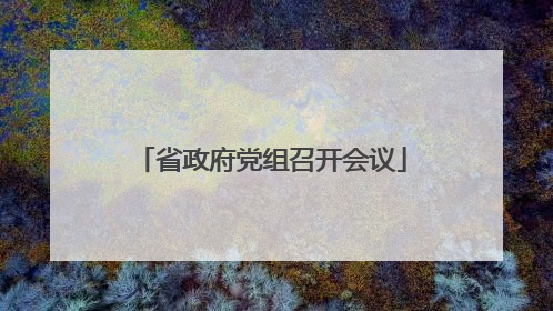 省政府党组召开会议