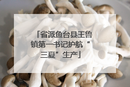 省派鱼台县王鲁镇第一书记护航“三夏”生产