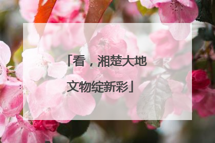 看，湘楚大地文物绽新彩