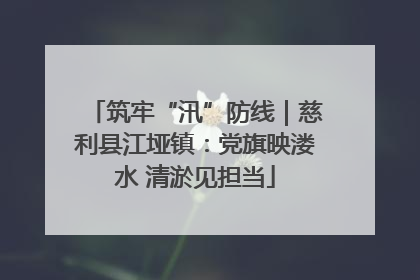 筑牢“汛”防线｜慈利县江垭镇：党旗映溇水 清淤见担当