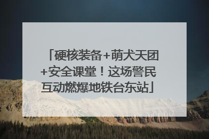 硬核装备+萌犬天团+安全课堂！这场警民互动燃爆地铁台东站