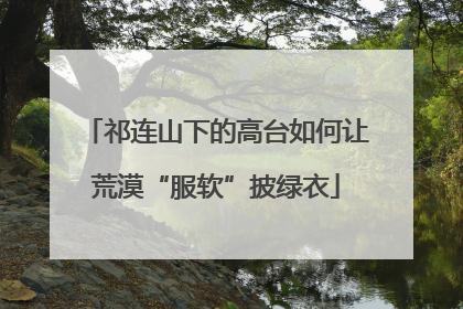 祁连山下的高台如何让荒漠“服软”披绿衣