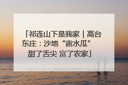 祁连山下是我家｜高台东庄：沙地“露水瓜” 甜了舌尖 富了农家