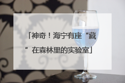 神奇！海宁有座“藏”在森林里的实验室