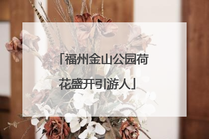 福州金山公园荷花盛开引游人