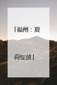 福州：夏荷绽放
