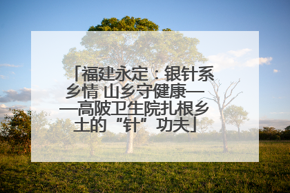 福建永定：银针系乡情 山乡守健康——高陂卫生院扎根乡土的“针”功夫