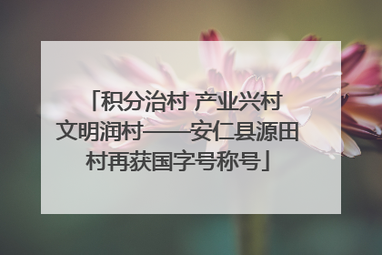 积分治村 产业兴村 文明润村——安仁县源田村再获国字号称号