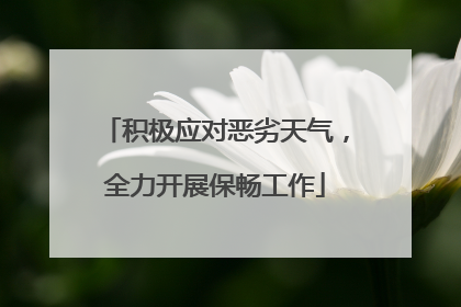 积极应对恶劣天气，全力开展保畅工作