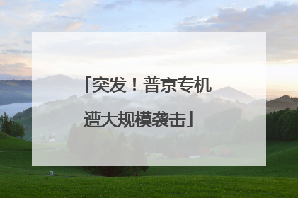 突发！普京专机遭大规模袭击