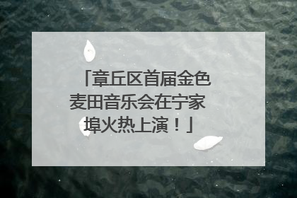 章丘区首届金色麦田音乐会在宁家埠火热上演！