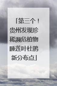 第三个！贵州发现珍稀濒危植物睡莲叶杜鹃新分布点