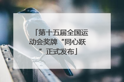 第十五届全国运动会奖牌“同心跃”正式发布
