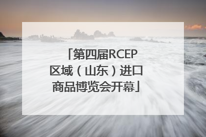 第四届RCEP区域（山东）进口商品博览会开幕