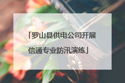 罗山县供电公司开展信通专业防汛演练