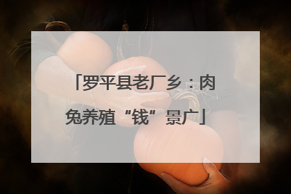 罗平县老厂乡：肉兔养殖“钱”景广