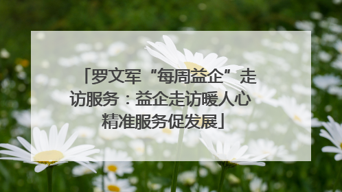 罗文军“每周益企”走访服务：益企走访暖人心 精准服务促发展