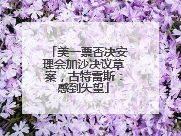 美一票否决安理会加沙决议草案，古特雷斯：感到失望