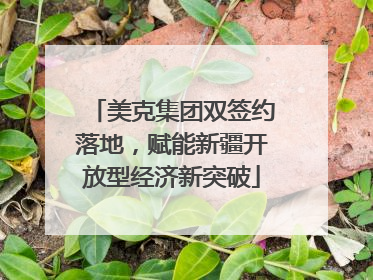 美克集团双签约落地，赋能新疆开放型经济新突破