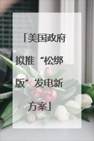 美国政府拟推“松绑版”发电新方案