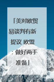 美对欧贸易谈判有新提议 欧盟：做好两手准备