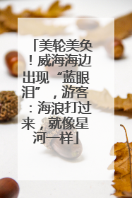 美轮美奂！威海海边出现“蓝眼泪”，游客：海浪打过来，就像星河一样