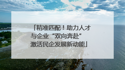 精准匹配！助力人才与企业“双向奔赴” 激活民企发展新动能
