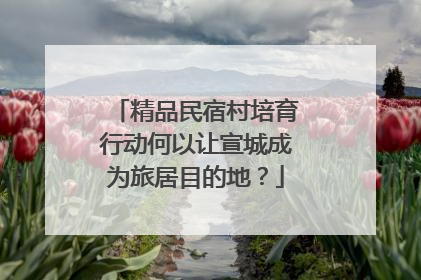 精品民宿村培育行动何以让宣城成为旅居目的地？