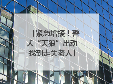 紧急增援！警犬“天狼”出动找到走失老人