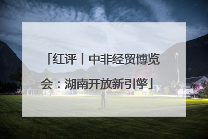 红评丨中非经贸博览会：湖南开放新引擎