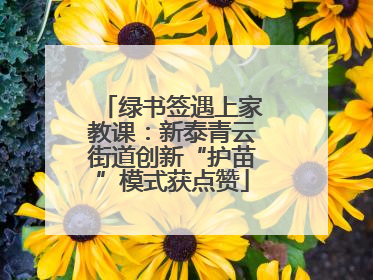 绿书签遇上家教课：新泰青云街道创新“护苗”模式获点赞