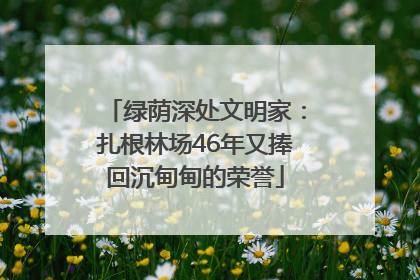 绿荫深处文明家：扎根林场46年又捧回沉甸甸的荣誉