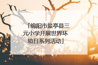 绵阳市盐亭县三元小学开展世界环境日系列活动