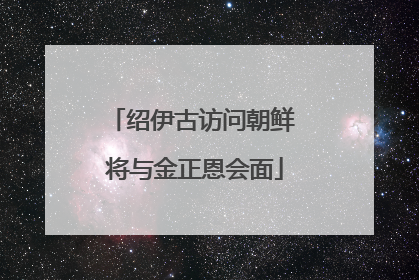 绍伊古访问朝鲜 将与金正恩会面