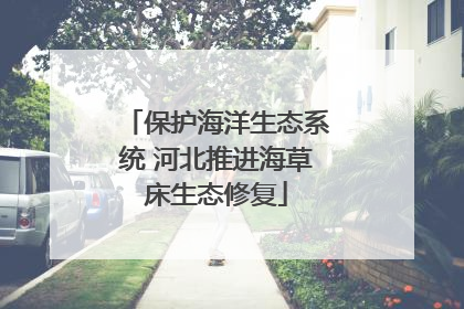保护海洋生态系统 河北推进海草床生态修复