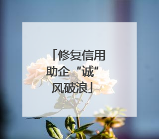 修复信用助企“诚”风破浪