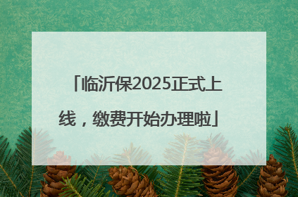 临沂保2025正式上线，缴费开始办理啦