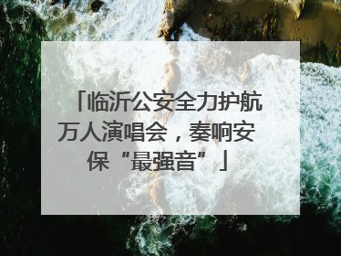 临沂公安全力护航万人演唱会，奏响安保“最强音”