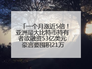 一个月涨近5倍！亚洲最大比特币持有者欲融资53亿美元 豪言要囤积21万枚比特币
