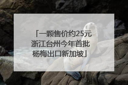 一颗售价约25元 浙江台州今年首批杨梅出口新加坡