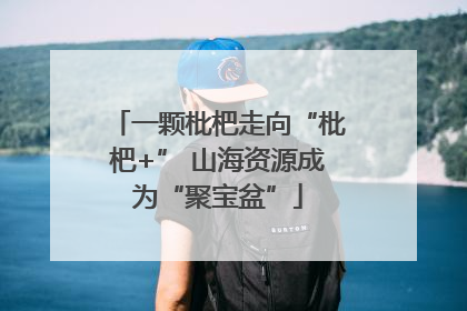 一颗枇杷走向“枇杷+” 山海资源成为“聚宝盆”