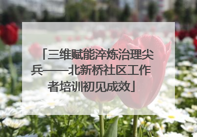 三维赋能淬炼治理尖兵——北新桥社区工作者培训初见成效