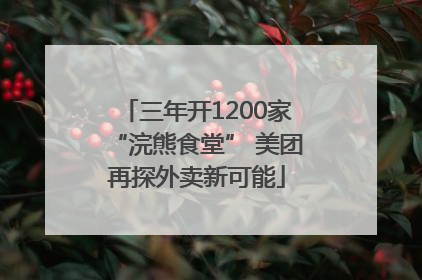 三年开1200家“浣熊食堂” 美团再探外卖新可能