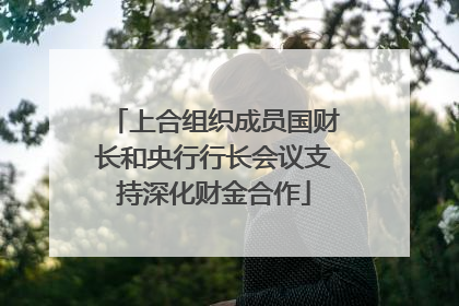 上合组织成员国财长和央行行长会议支持深化财金合作