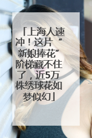 上海人速冲！这片“新娘捧花”阶梯藏不住了，近5万株绣球花如梦似幻