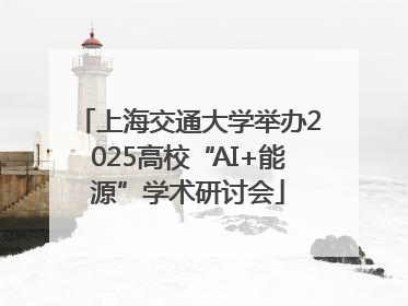 上海交通大学举办2025高校“AI+能源”学术研讨会