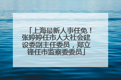 上海最新人事任免！张婷婷任市人大社会建设委副主任委员，郑立锋任市监察委委员