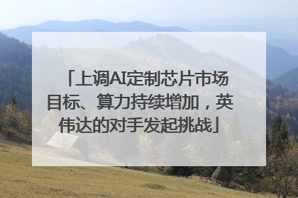 上调AI定制芯片市场目标、算力持续增加，英伟达的对手发起挑战